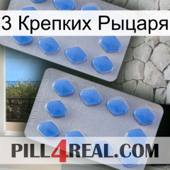 3 Крепких Рыцаря 20